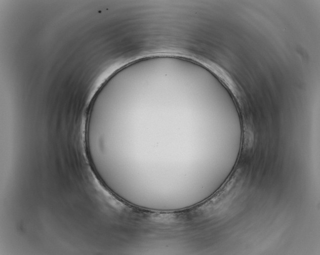 X0000111531006200908041301