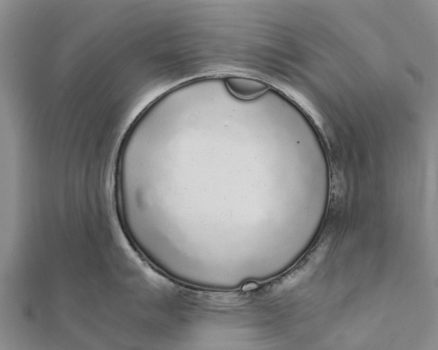 X0000111531007200908041301