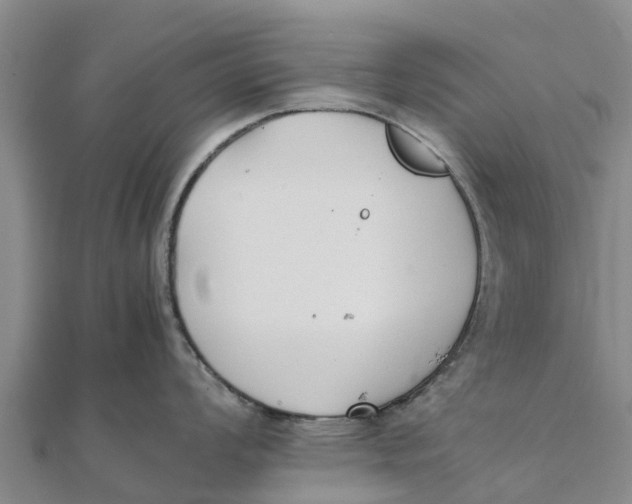 X0000111531008200908041301