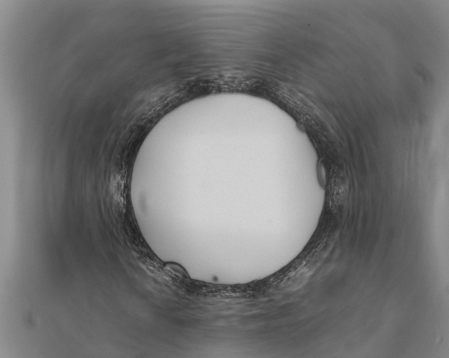 X0000111531010200908041300