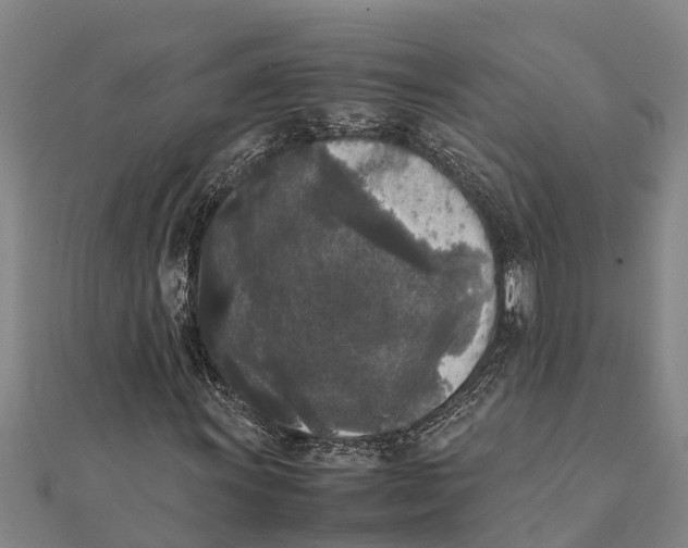 X0000111531011200908041300