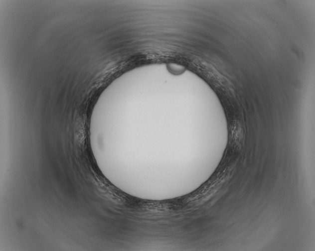 X0000111531012200908041300