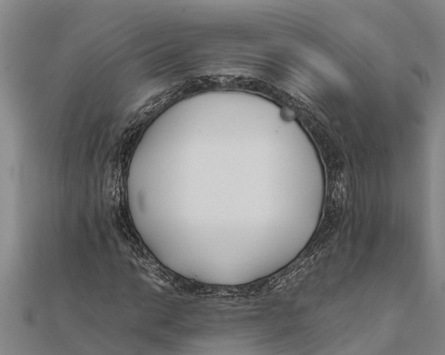 X0000111531014200908041300