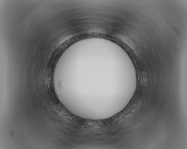 X0000111531015200908041300