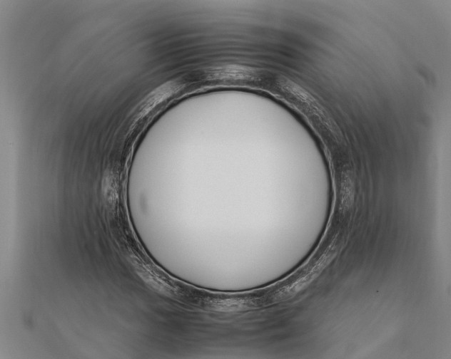 X0000111531017200908041300