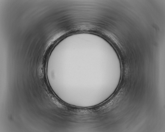 X0000111531018200908041300