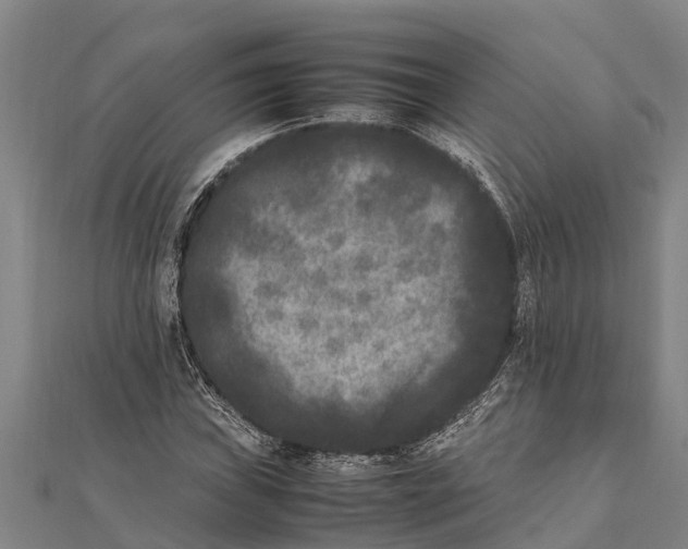 X0000111531019200908041300