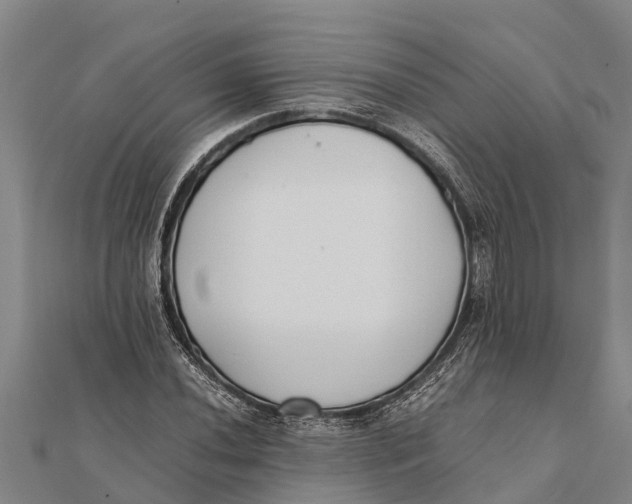 X0000111531020200908041300