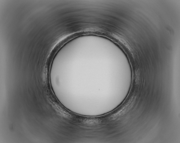 X0000111531021200908041300