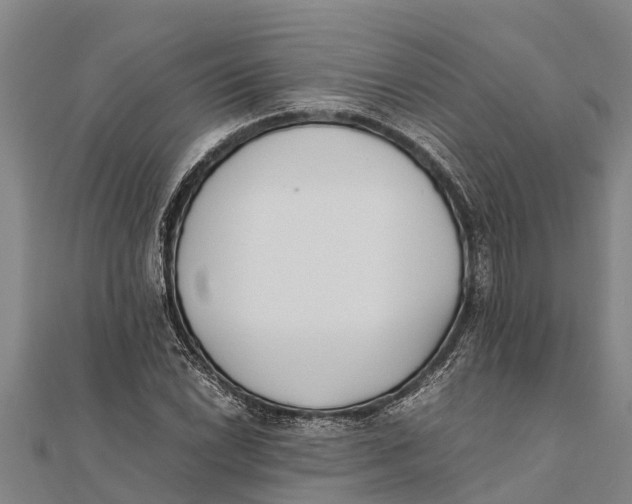 X0000111531022200908041300