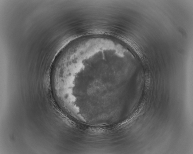 X0000111531023200908041300