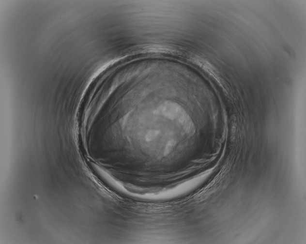 X0000111531024200908041300