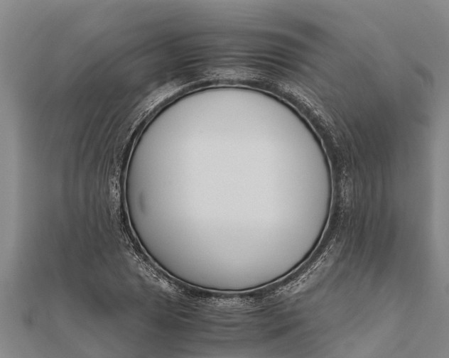 X0000111531025200908041300