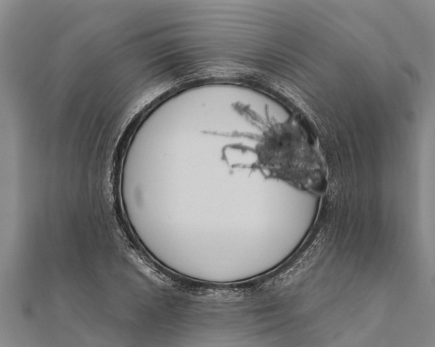 X0000111531026200908041300