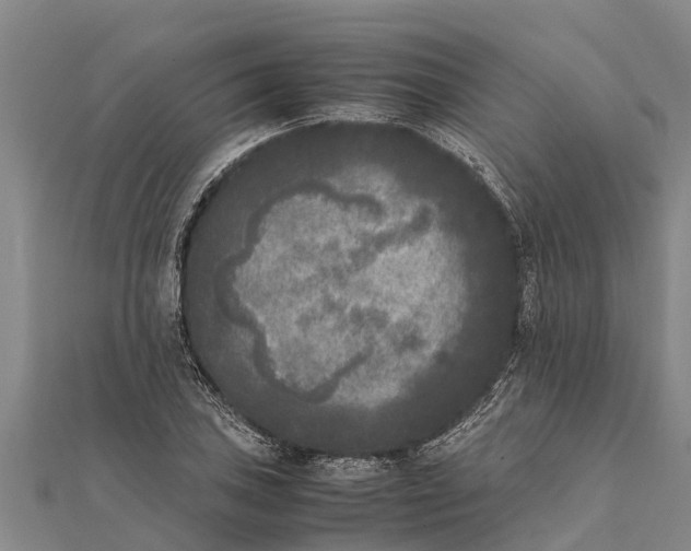 X0000111531027200908041300