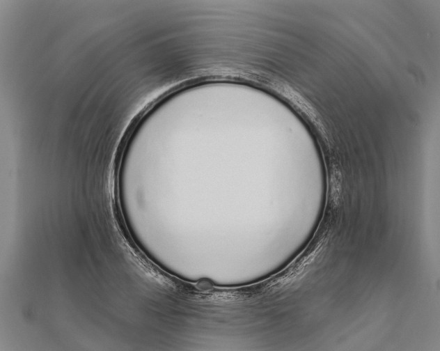 X0000111531028200908041300