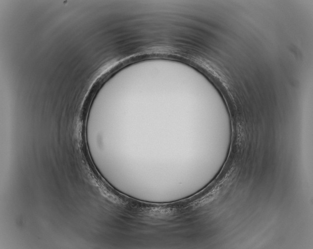 X0000111531029200908041300