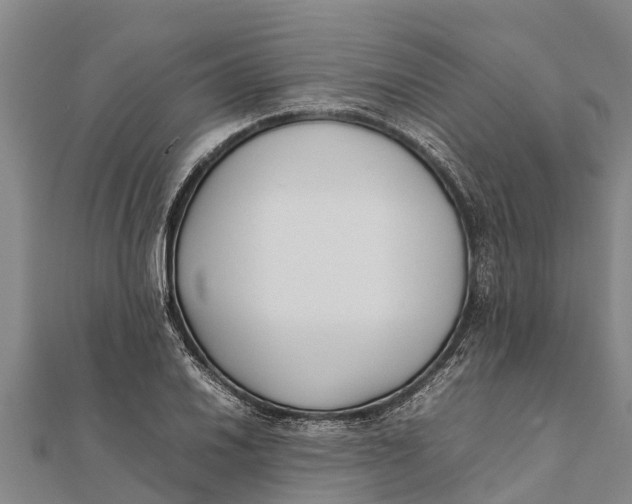 X0000111531030200908041300