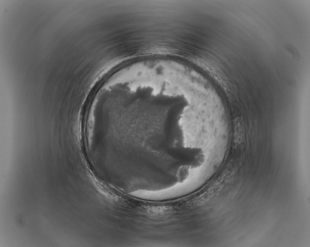 X0000111531031200908041300