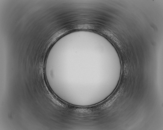 X0000111531033200908041300