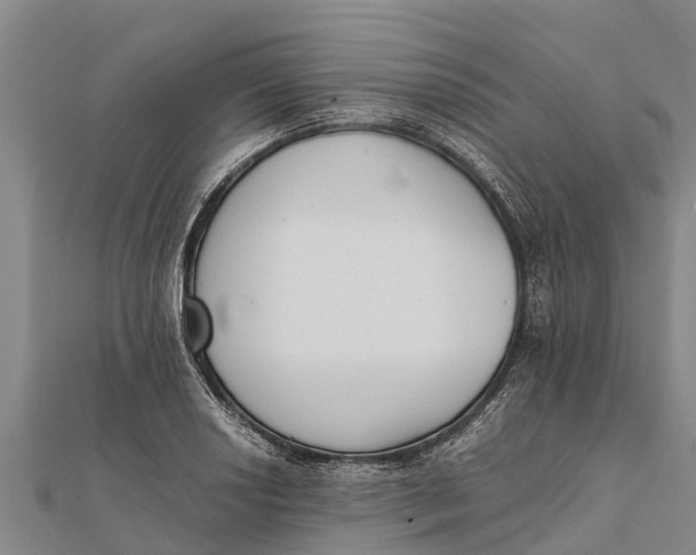 X0000111531034200908041300