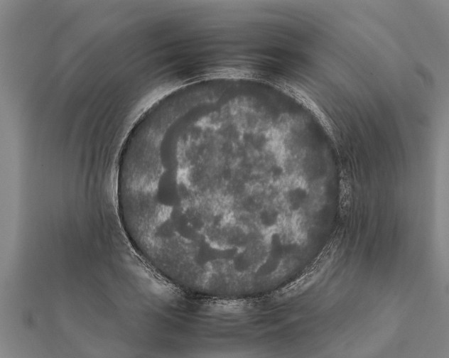 X0000111531035200908041300