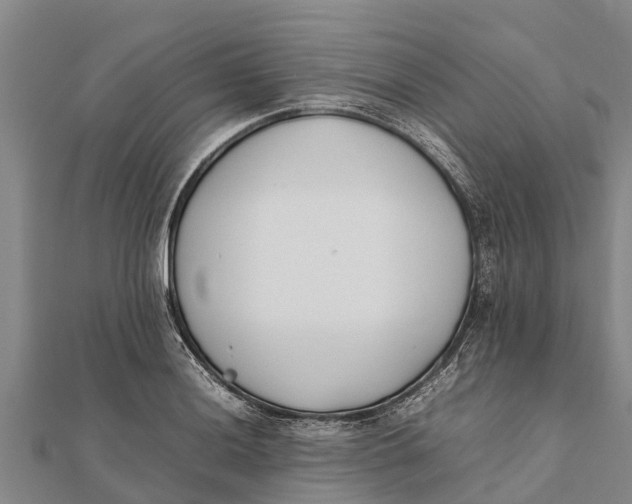 X0000111531036200908041300