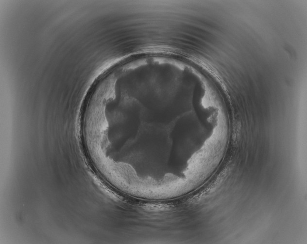 X0000111531037200908041300