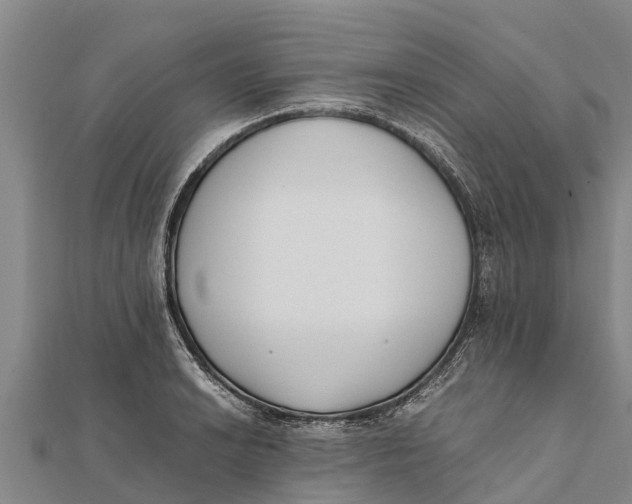 X0000111531038200908041300