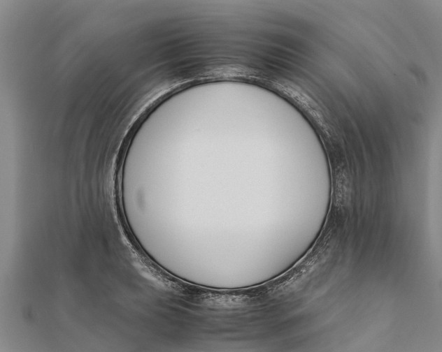 X0000111531039200908041300