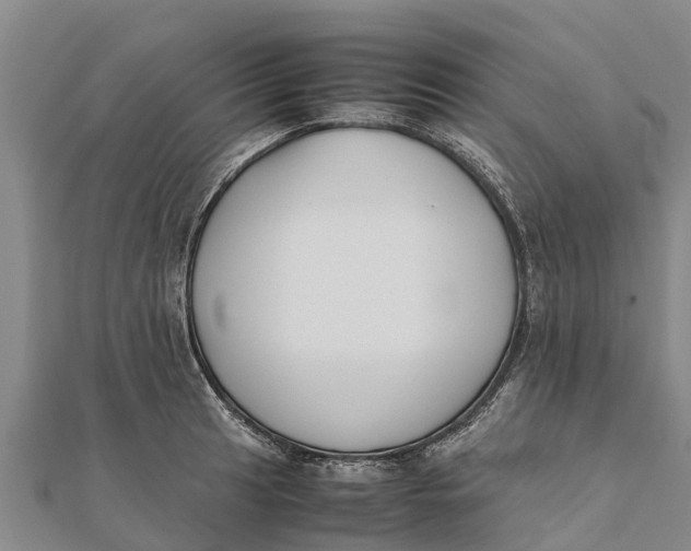 X0000111531041200908041301