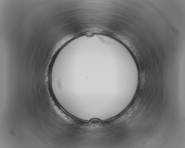 X0000111531042200908041301