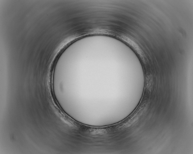 X0000111531043200908041301