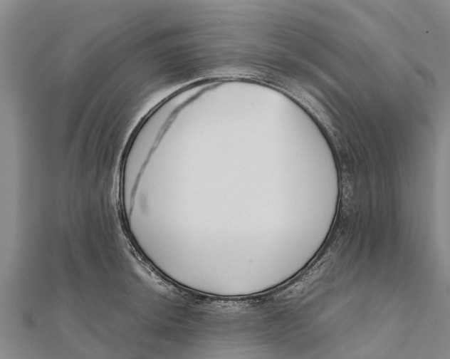 X0000111531044200908041301