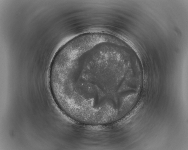 X0000111531045200908041301