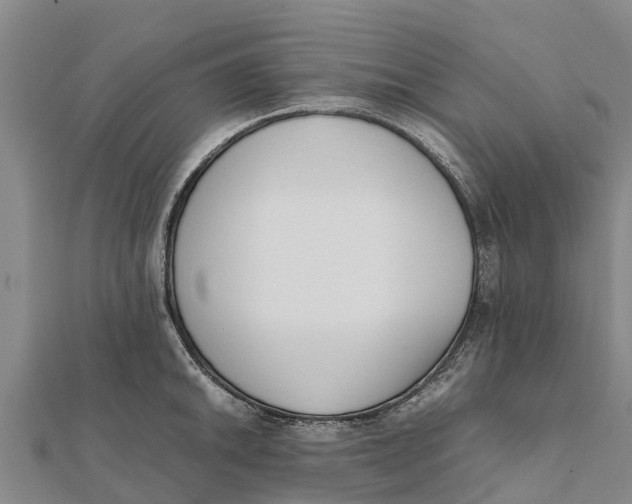 X0000111531046200908041301