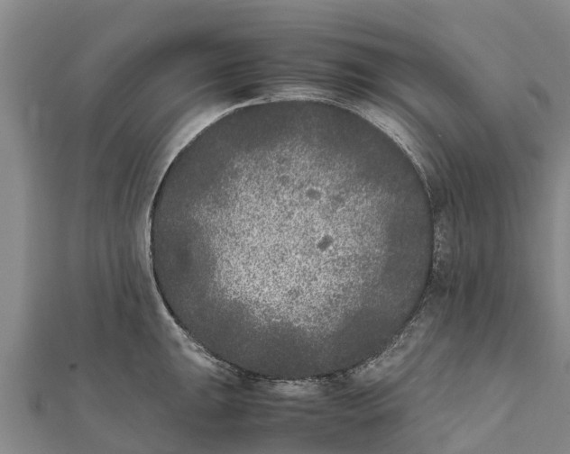 X0000111531047200908041301