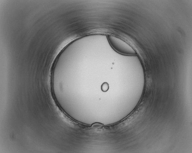 X0000111531050200908041301