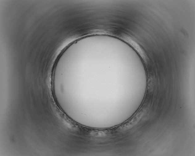 X0000111531051200908041301