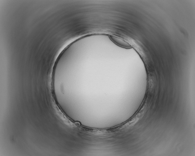 X0000111531052200908041301