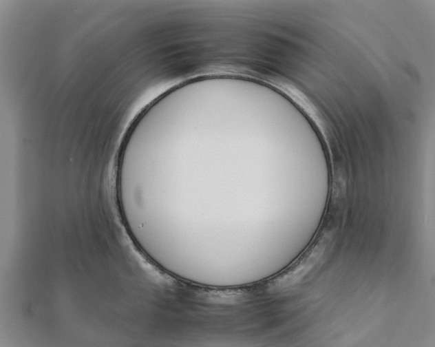 X0000111531053200908041301