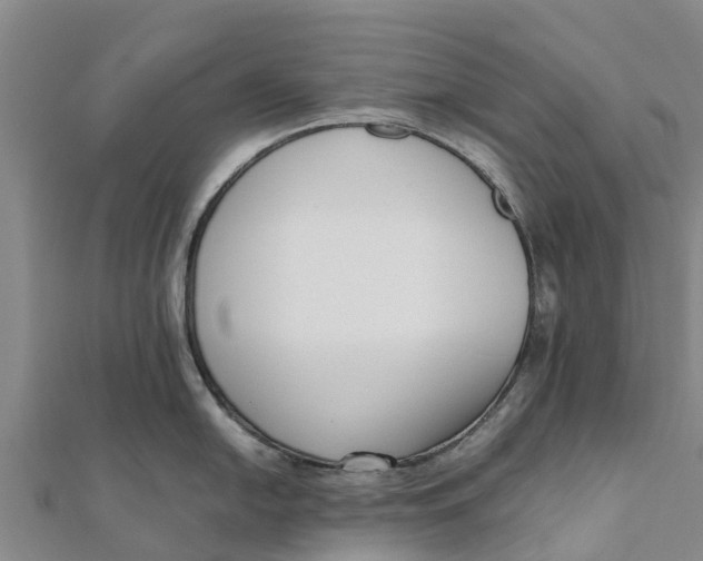 X0000111531054200908041301