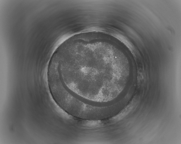 X0000111531055200908041301