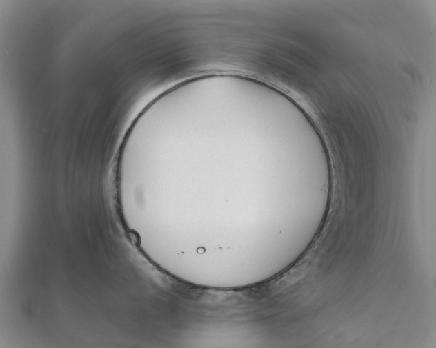 X0000111531056200908041301