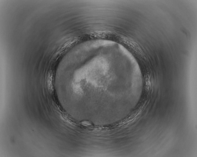 X0000111531060200908041300