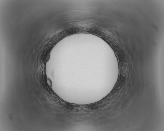 X0000111531061200908041300