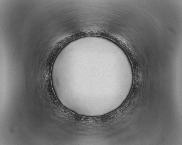 X0000111531063200908041300