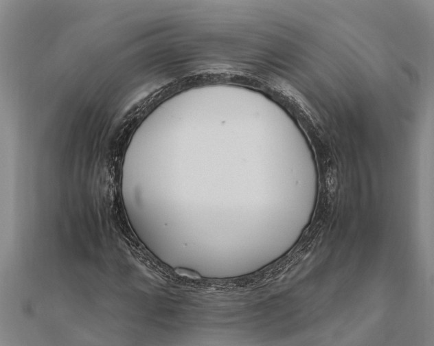 X0000111531064200908041300