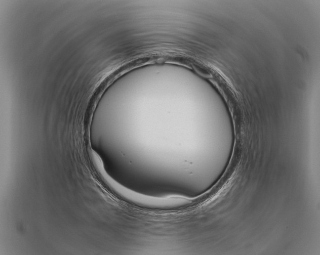 X0000111531065200908041300