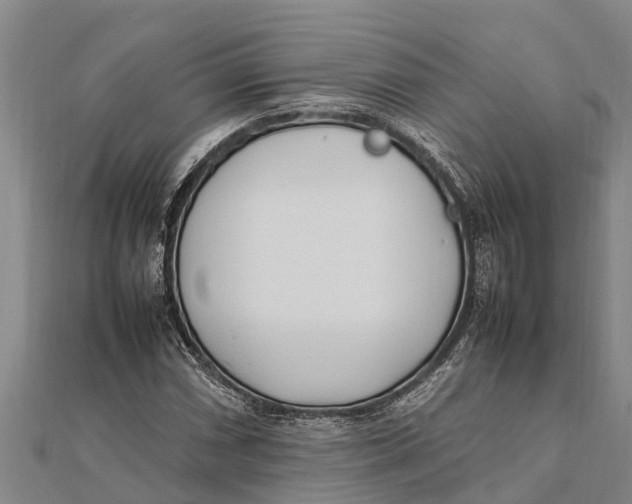 X0000111531066200908041300